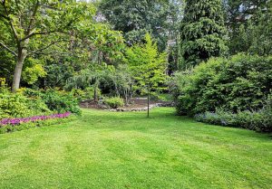 Optimiser l'expérience du jardin à Popolasca