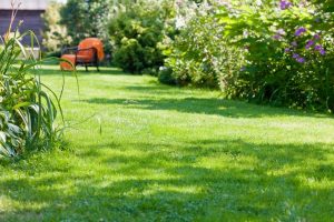 travaux jardin et paysage Popolasca